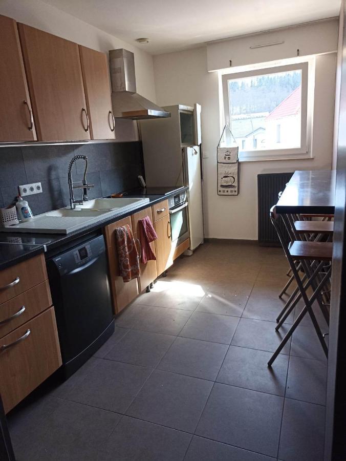 Appartement Gauche Avec Balcon Hargarten-aux-Mines Zewnętrze zdjęcie