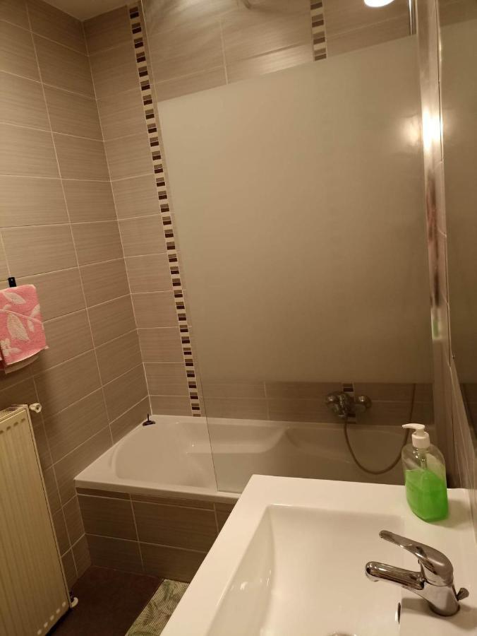 Appartement Gauche Avec Balcon Hargarten-aux-Mines Zewnętrze zdjęcie